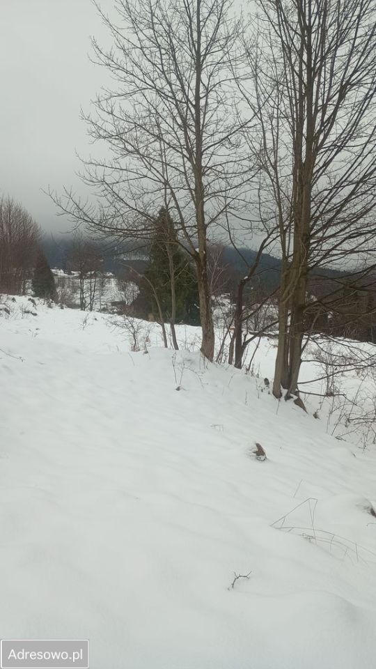 Działka rolna Złatna. Zdjęcie 5