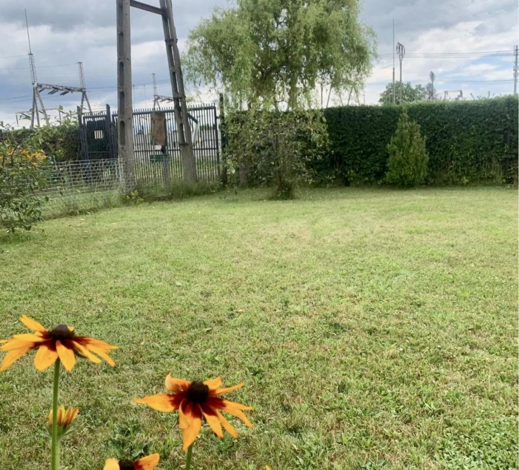 Działka rekreacyjna Jelenia Góra Zabobrze, ul. Działkowicza. Zdjęcie 1