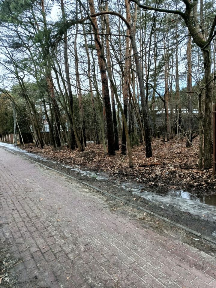 Działka leśna Legionowo, ul. Aleja Legionów. Zdjęcie 4