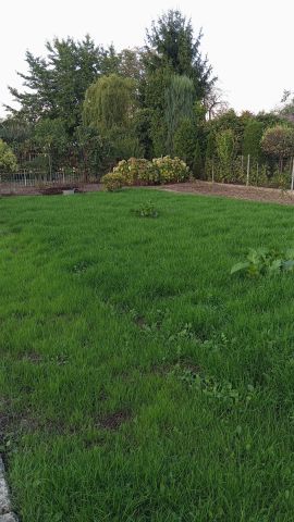 Działka rod Mielec. Zdjęcie 1