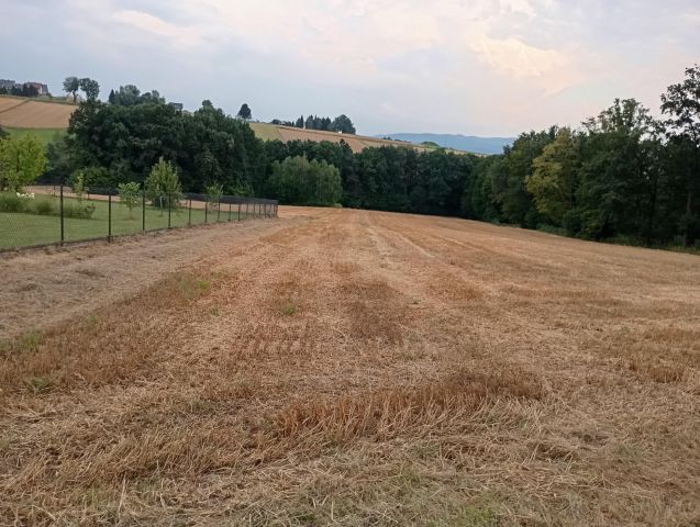 Działka rolno-budowlana Witanowice Zagórze, Zagórze. Zdjęcie 1