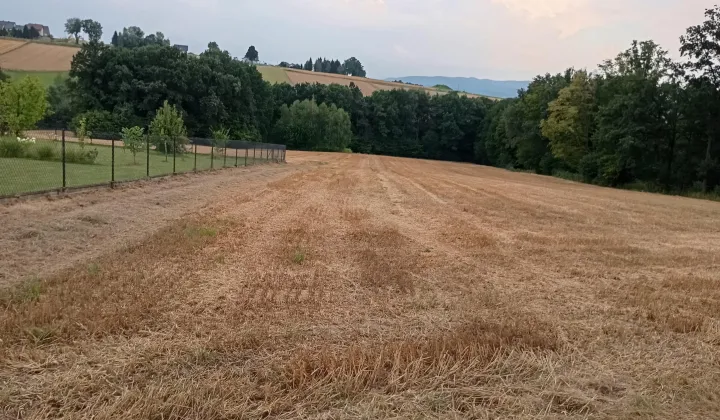 Działka rolno-budowlana Witanowice Zagórze, Zagórze