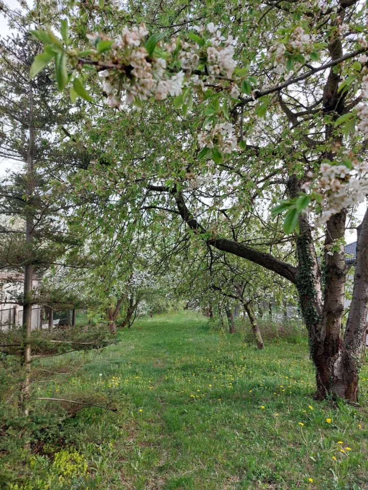 dom wolnostojący, 3 pokoje Częstochowa Raków, ul. Okrzei. Zdjęcie 18