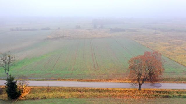 Działka rolna Dziubiele. Zdjęcie 5
