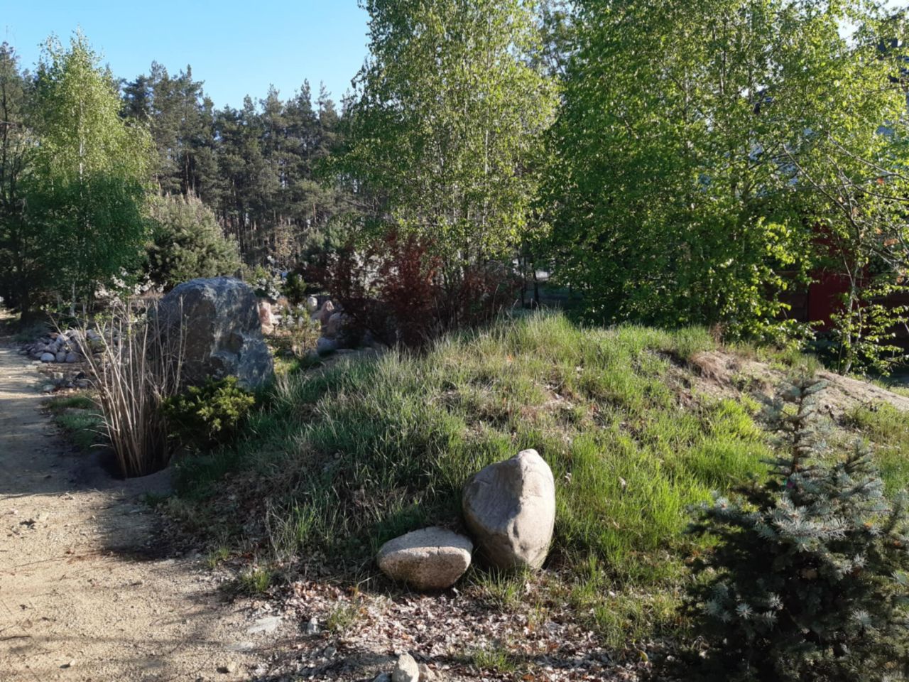 Działka budowlana Podbiel Krupińskie, Sosnowa. Zdjęcie 30