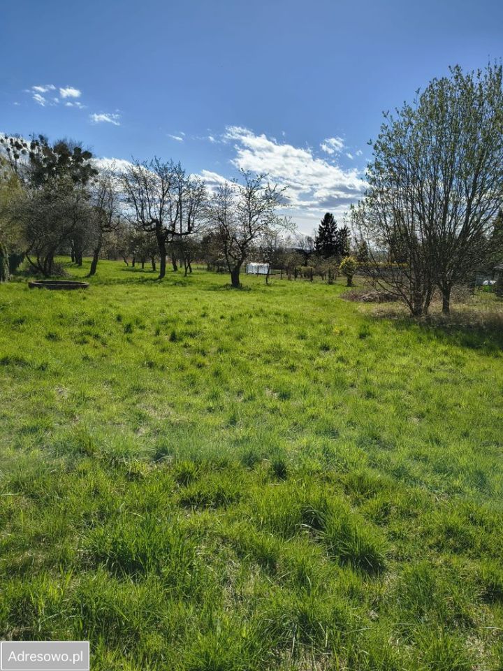 dom wolnostojący, 6 pokoi Bluszczów, ul. Wiejska. Zdjęcie 3