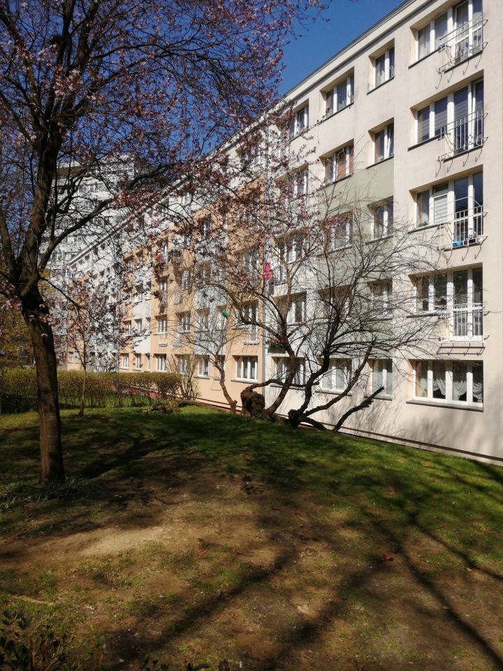 Mieszkanie 2-pokojowe Szczecin Niebuszewo, ul. bł. Wincentego Kadłubka. Zdjęcie 16