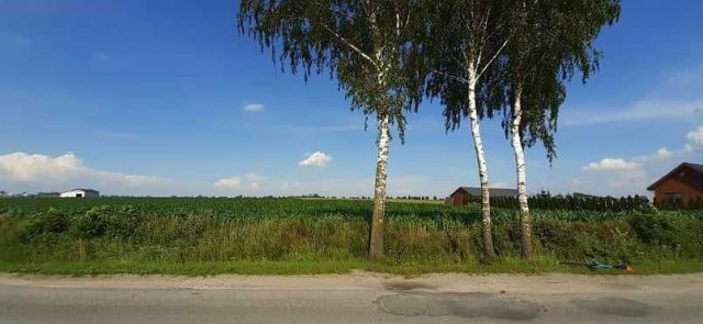 Działka rolno-budowlana Biskupice. Zdjęcie 1