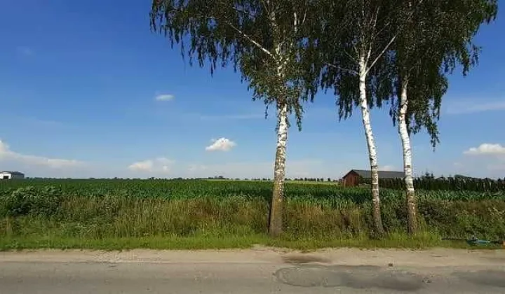 Działka rolno-budowlana Biskupice
