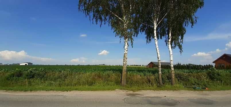 Działka rolno-budowlana Biskupice. Zdjęcie 1