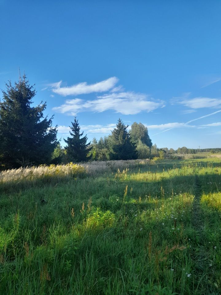 Działka rolna Giżyn. Zdjęcie 2