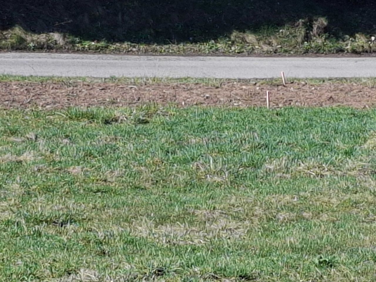 Działka budowlana Szymbark. Zdjęcie 3