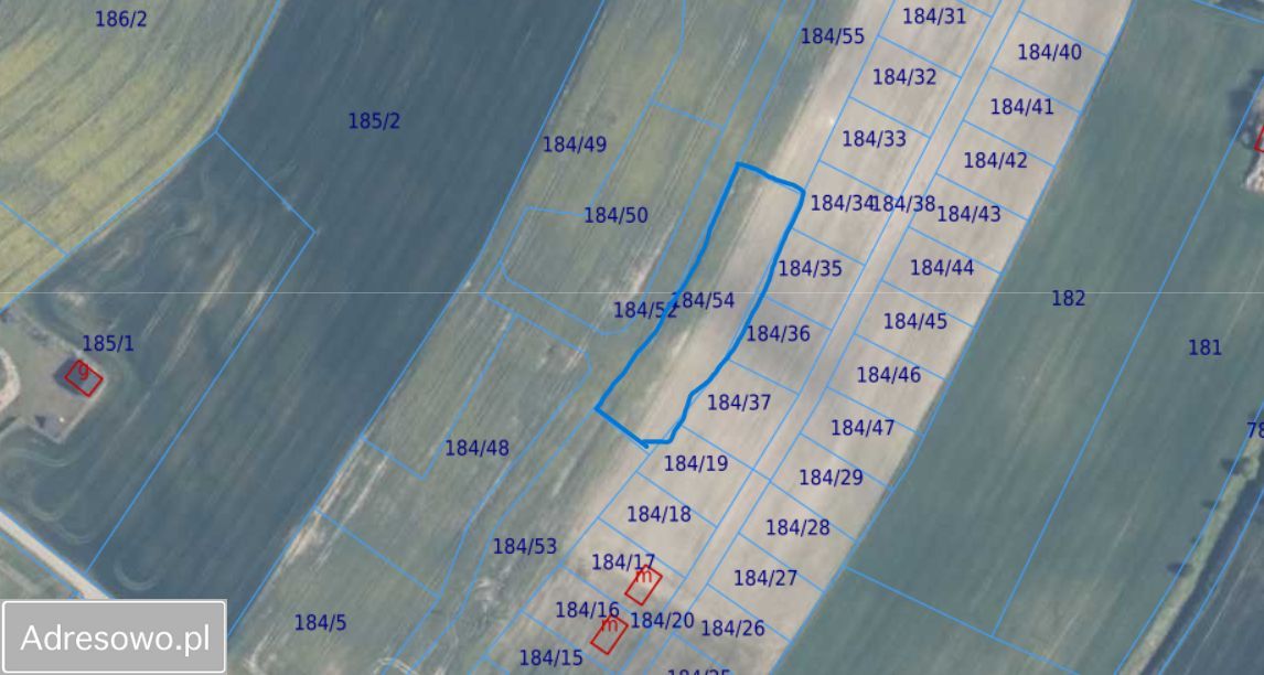 Działka rolno-budowlana Ryzowie. Zdjęcie 2