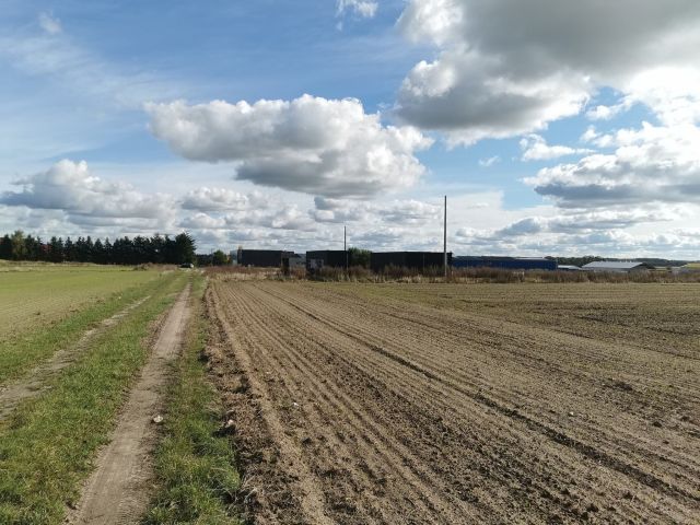 Działka inwestycyjna Blękwit. Zdjęcie 15