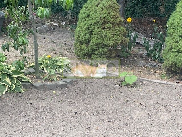 dom wolnostojący, 8 pokoi Łomianki Buraków, ul. Warszawska. Zdjęcie 10