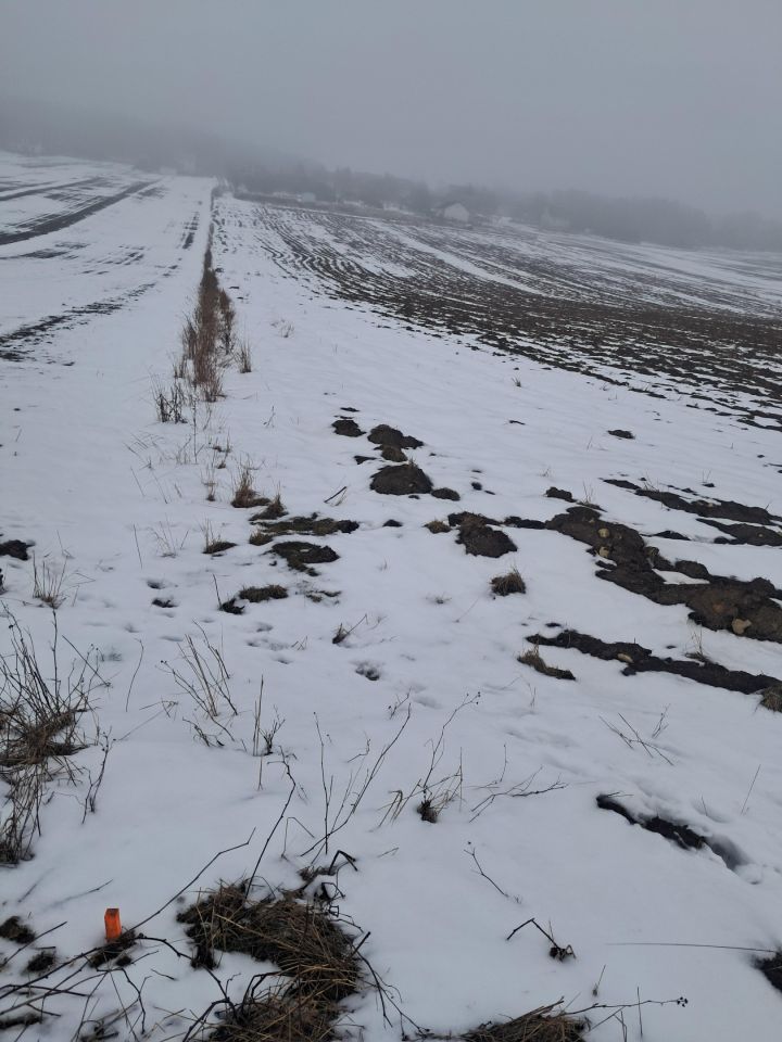 Działka budowlana Górki, ul. Słoneczna. Zdjęcie 6