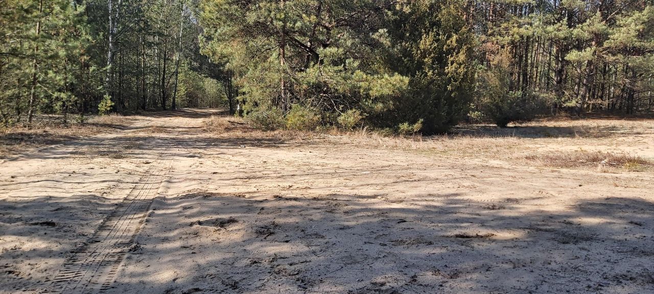 Działka budowlana Krzyżewo Nadrzeczne. Zdjęcie 4