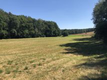 Działka rolna Pakawie. Zdjęcie 1