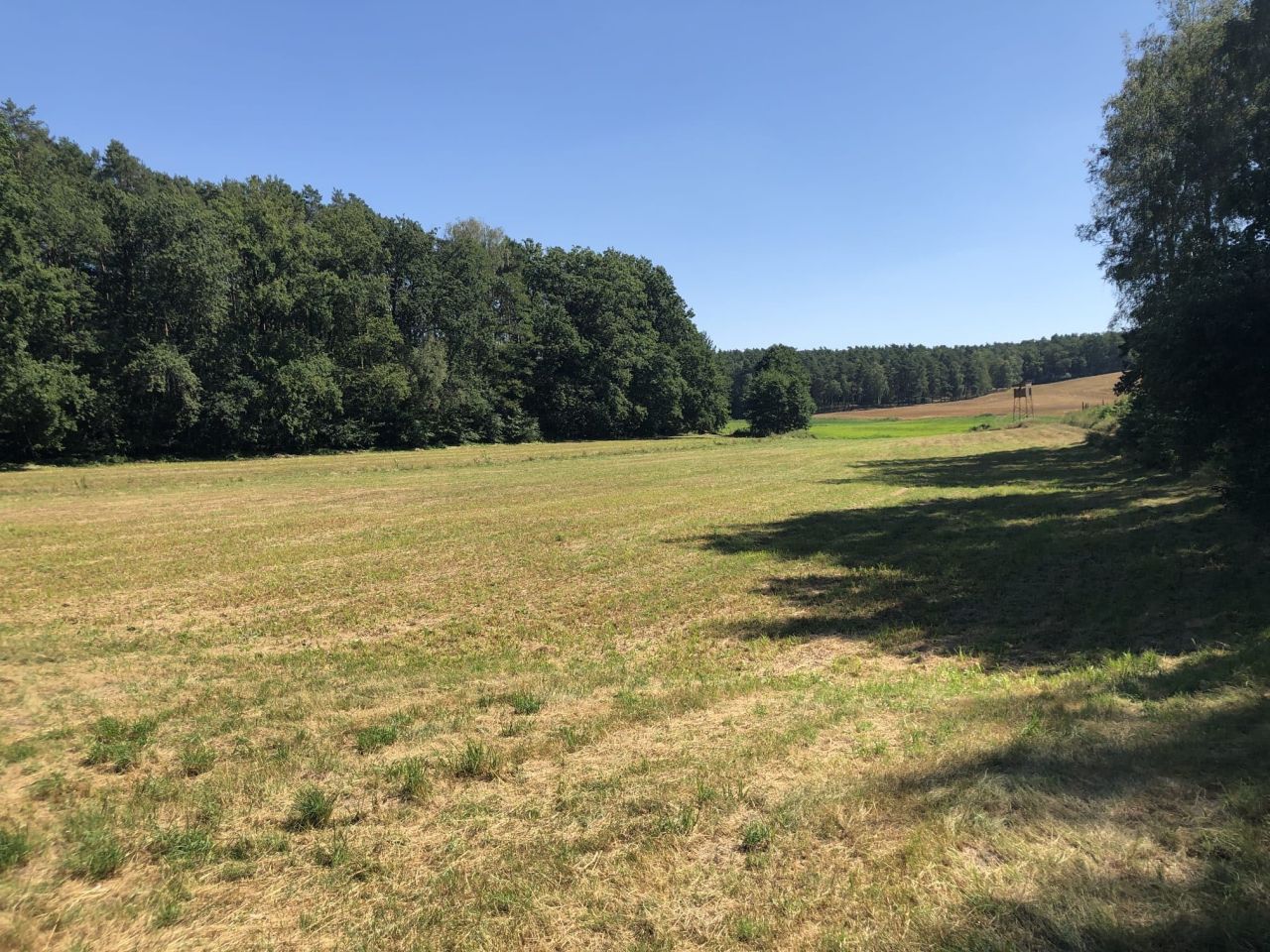 Działka rolna Pakawie. Zdjęcie 2