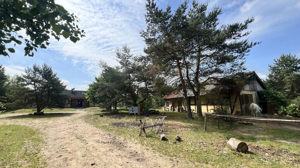 Działka rekreacyjna Osieczna. Zdjęcie 31