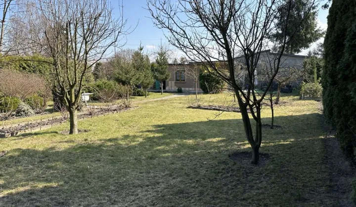 Działka rod Kościan, os. Konstytucji 3 Maja