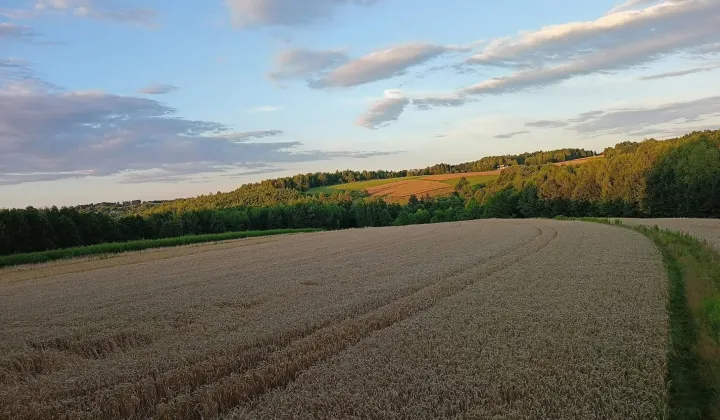 Działka rolna Wysoka Strzyżowska