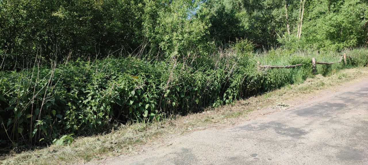 Działka budowlana Szałkowo. Zdjęcie 3