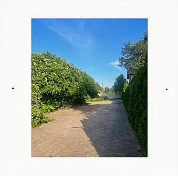 dom wolnostojący, 4 pokoje Nowe Miasto-Folwark. Zdjęcie 5