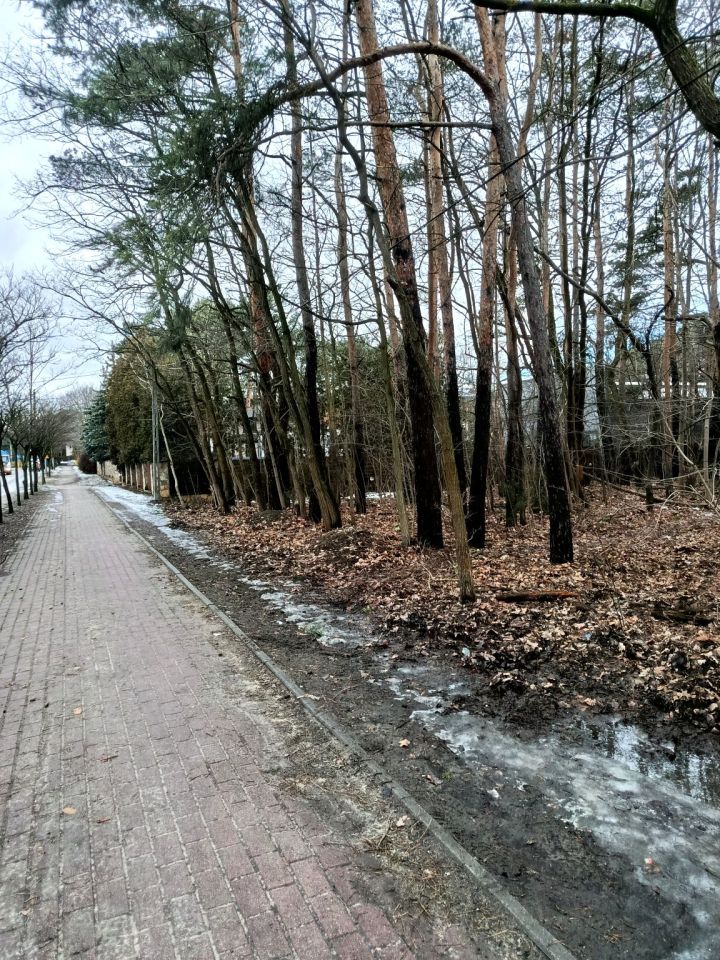 Działka leśna Legionowo, ul. Aleja Legionów. Zdjęcie 6