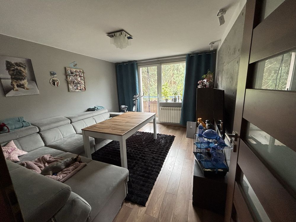 Mieszkanie 2-pokojowe Duszniki