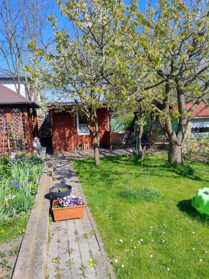 Działka rod Starachowice, ul. Martenowska. Zdjęcie 3