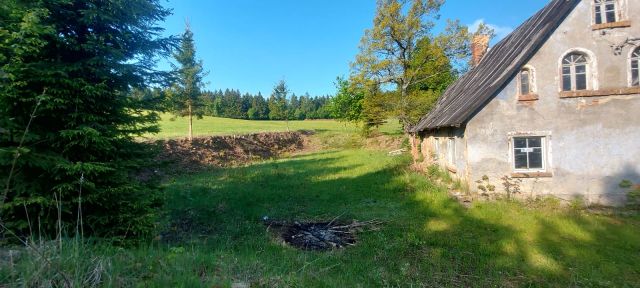 Działka rolno-budowlana Dworki. Zdjęcie 9