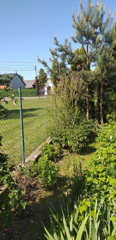 dom wolnostojący, 3 pokoje Cieklin, Cieklin. Zdjęcie 7