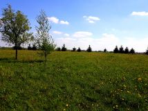 Działka rolno-budowlana Gruta. Zdjęcie 3