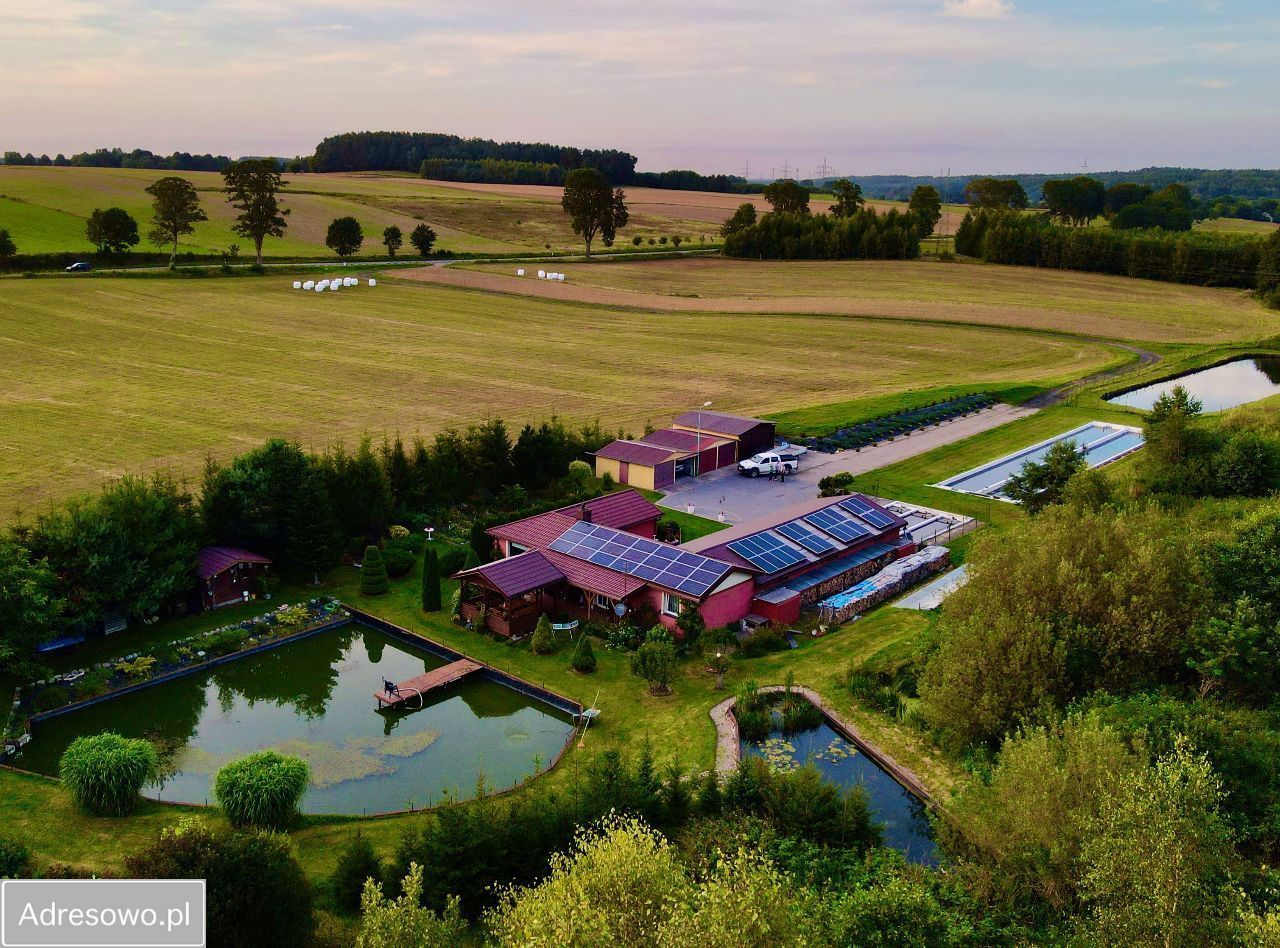 gospodarstwo, 3 pokoje Barcino. Zdjęcie 8