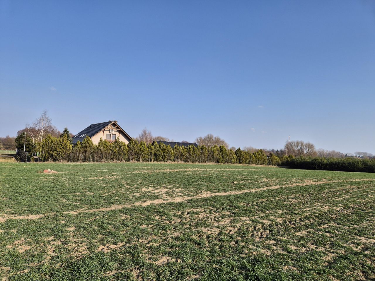 Działka rolno-budowlana Orchowo, ul. Trzemeszeńska. Zdjęcie 2