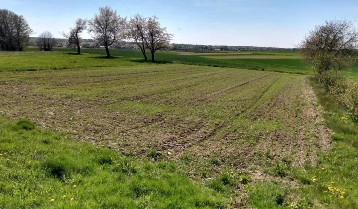 Działka rolno-budowlana Majdan Starowiejski