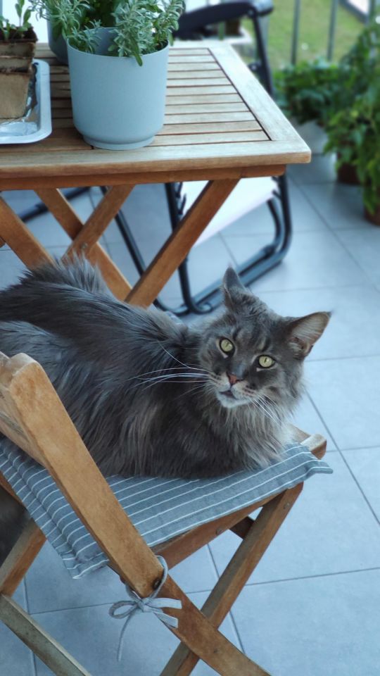 Mieszkanie 4-pokojowe Bydgoszcz Jary, ul. Słoneczna. Zdjęcie 26