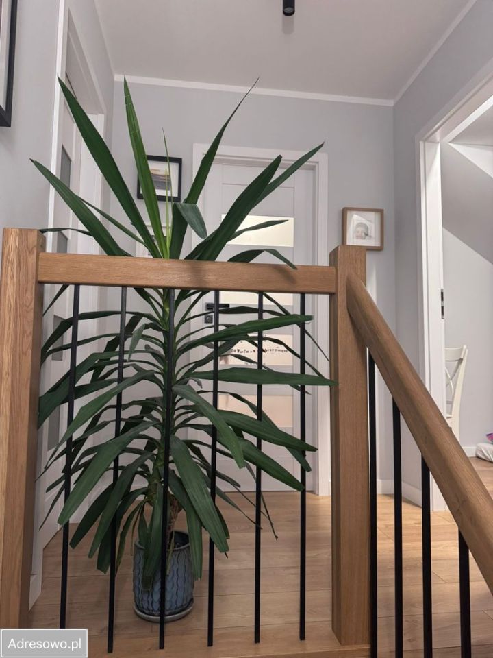 Mieszkanie 4-pokojowe Wrocław Maślice, ul. Królewiecka. Zdjęcie 3