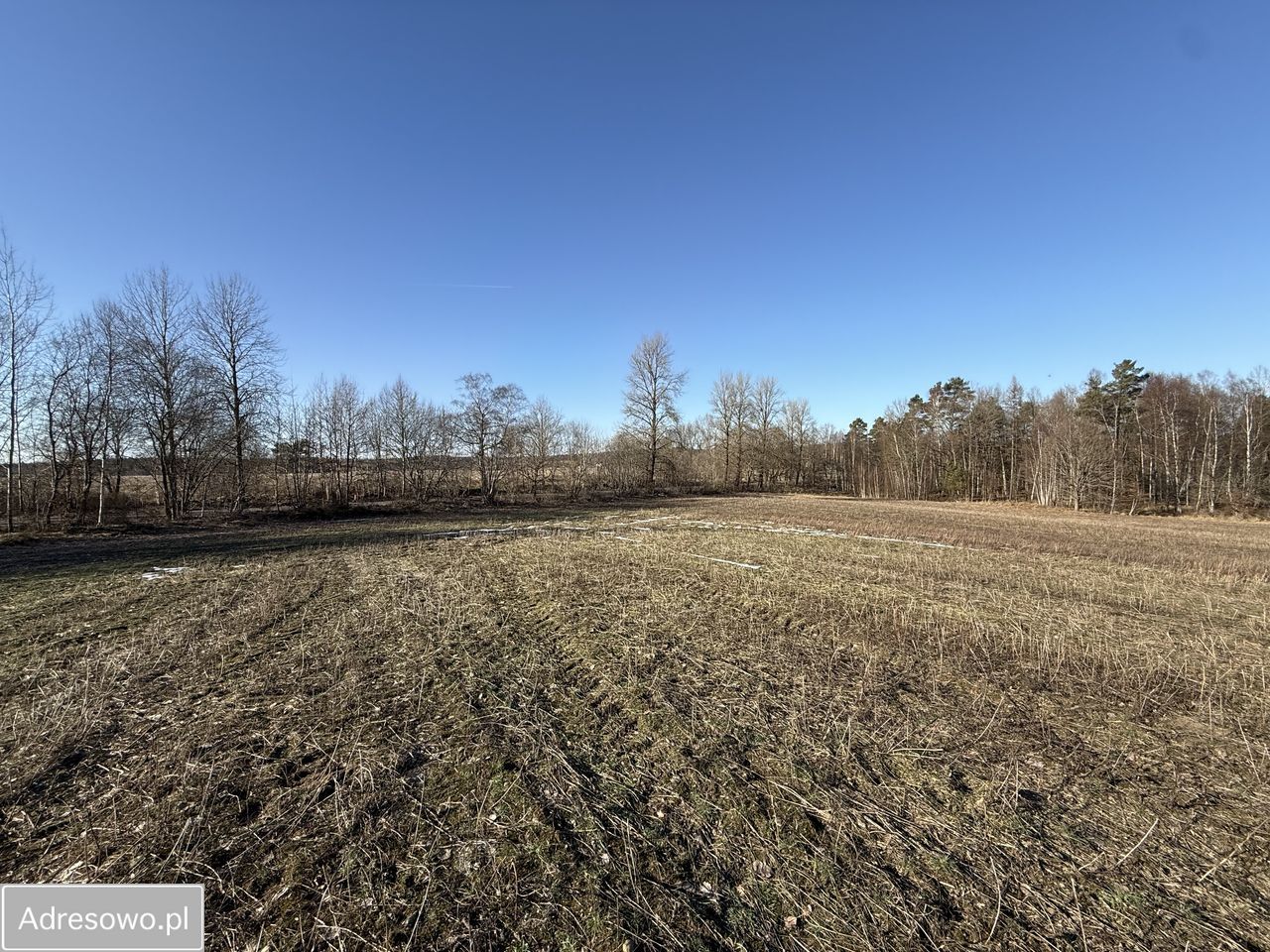 Działka siedliskowa Chrzanowo. Zdjęcie 3
