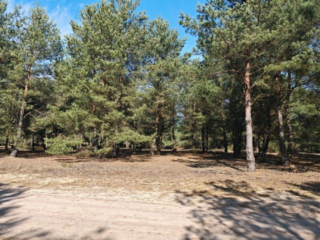 Działka budowlana Choinek. Zdjęcie 1