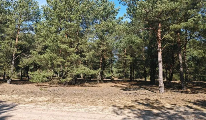 Działka budowlana Choinek