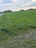 Działka budowlana Konstantynów. Zdjęcie 2