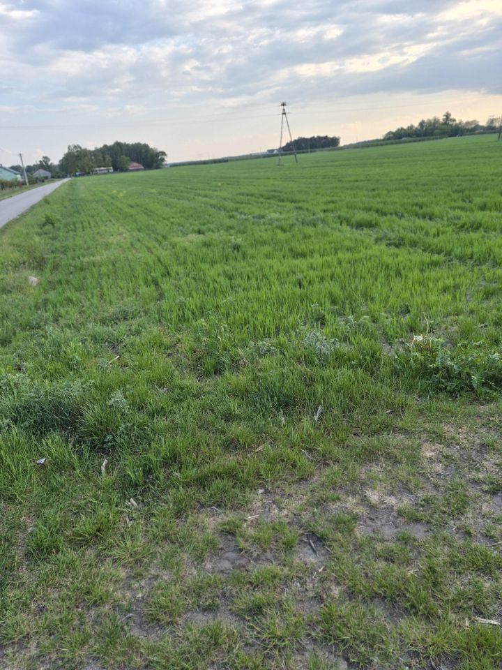 Działka budowlana Konstantynów. Zdjęcie 3