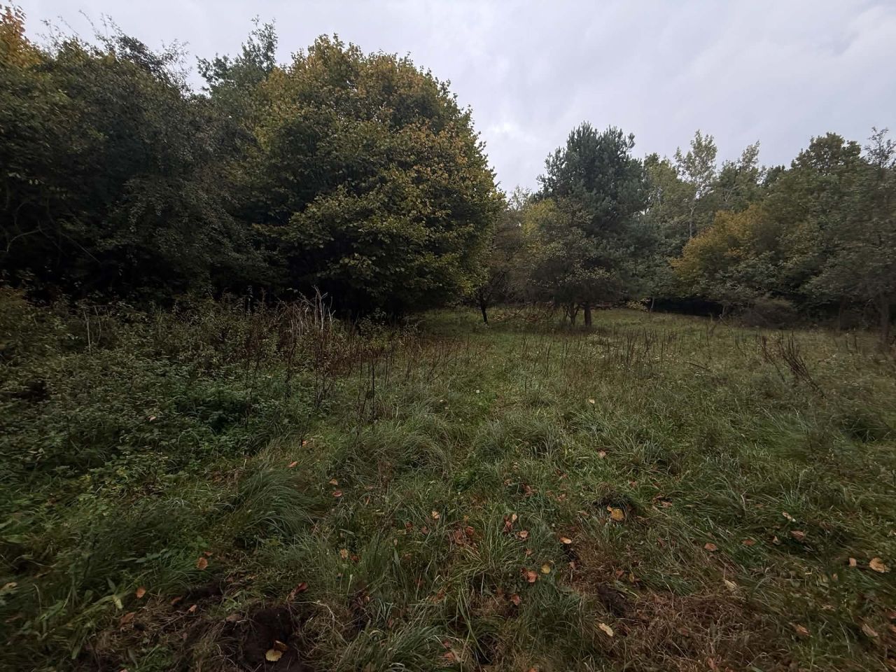 Działka rolna Chrzanów Kąty, ul. Bracka. Zdjęcie 8