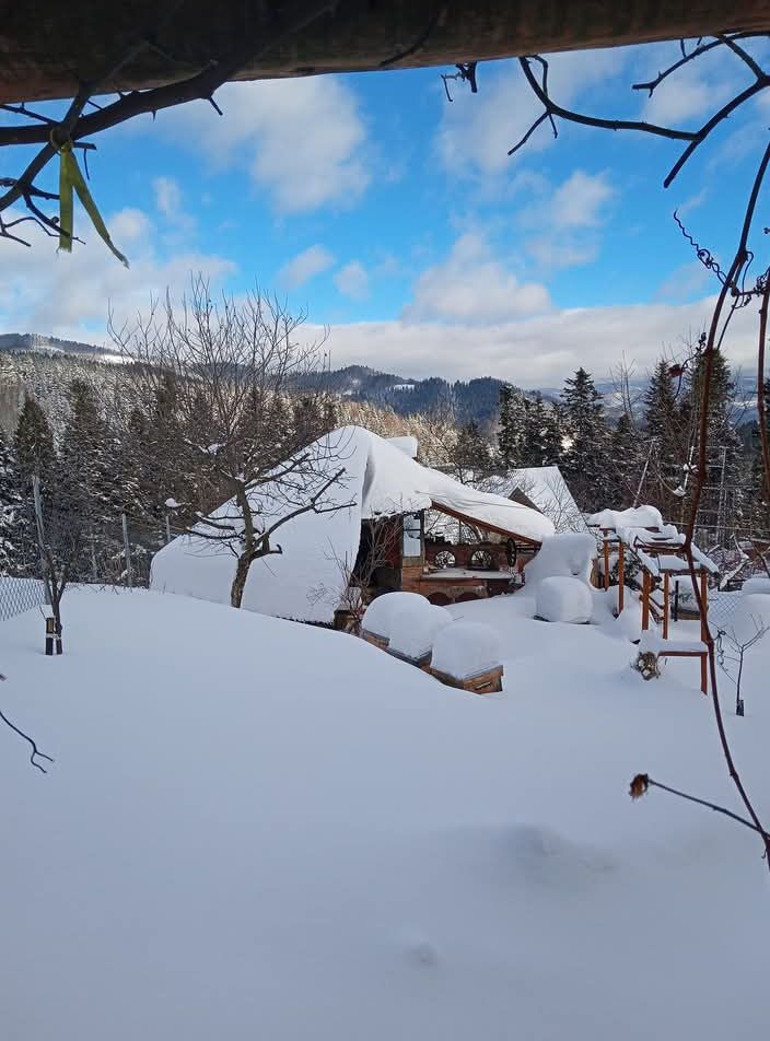 dom wolnostojący, 8 pokoi Piwniczna-Zdrój Koszarzyska, Sucha Dolina. Zdjęcie 20