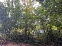 Działka rod Radom, ul. Wincentego Witosa. Zdjęcie 1