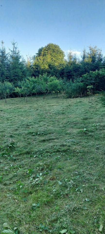 Działka budowlana Ruda. Zdjęcie 5