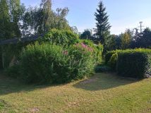Działka rekreacyjna Jezierzyce. Zdjęcie 3