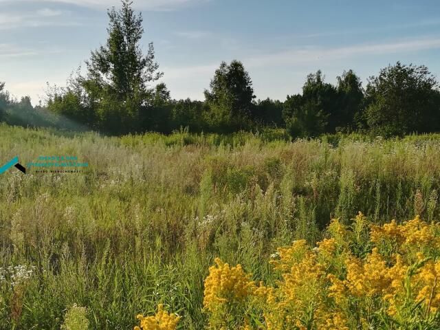 Działka rolno-budowlana Borzęcin Duży. Zdjęcie 5